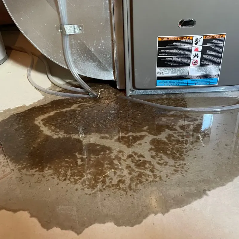 Pipe Burst and Leak Restoration in Wellington, UT