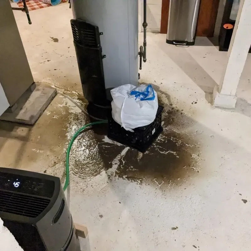 Sewage Backup Cleanup Service in Wellington, UT
